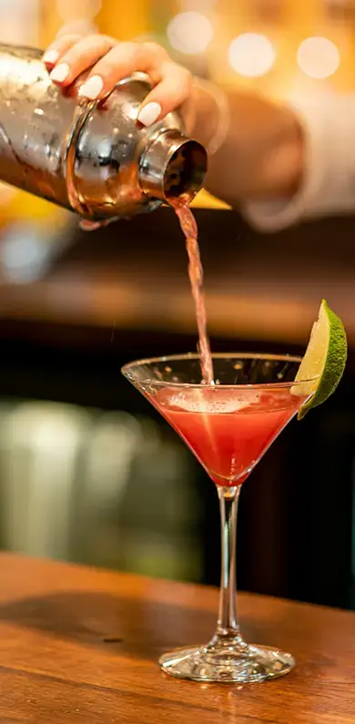 Yacht Fun Bar - Mobile Header